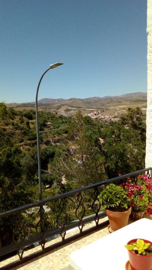 Serón La Casa De La Acequia旅馆 外观 照片