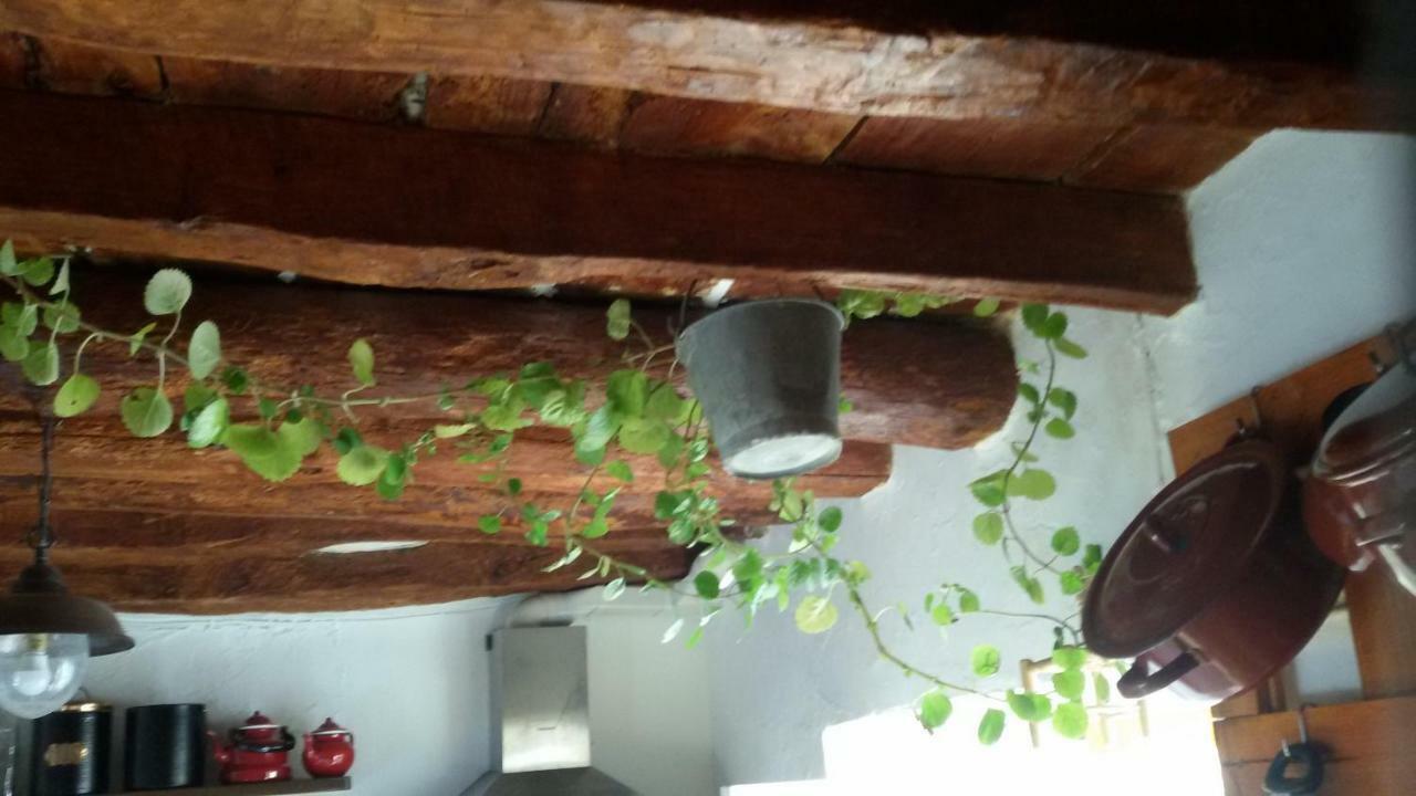 Serón La Casa De La Acequia旅馆 外观 照片