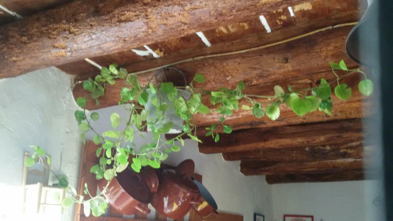 Serón La Casa De La Acequia旅馆 外观 照片