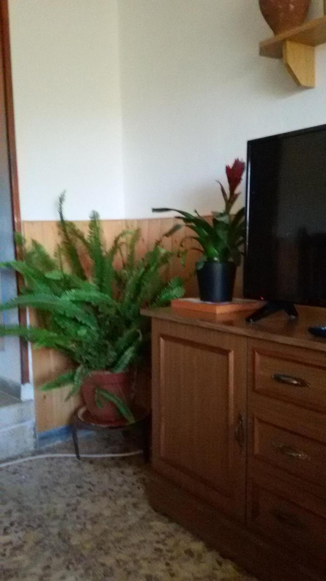 Serón La Casa De La Acequia旅馆 外观 照片